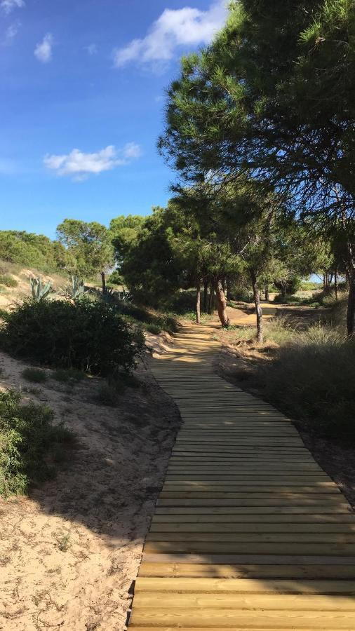 Sun & Blue Sea Holiday home La Mata (Torrevieja)