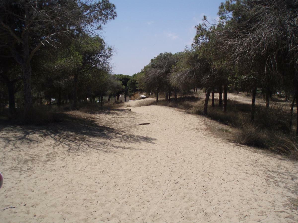 Holiday home Sun & Blue Sea La Mata (Torrevieja)