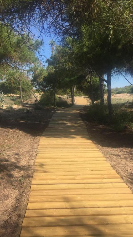 Holiday home Sun & Blue Sea La Mata (Torrevieja)